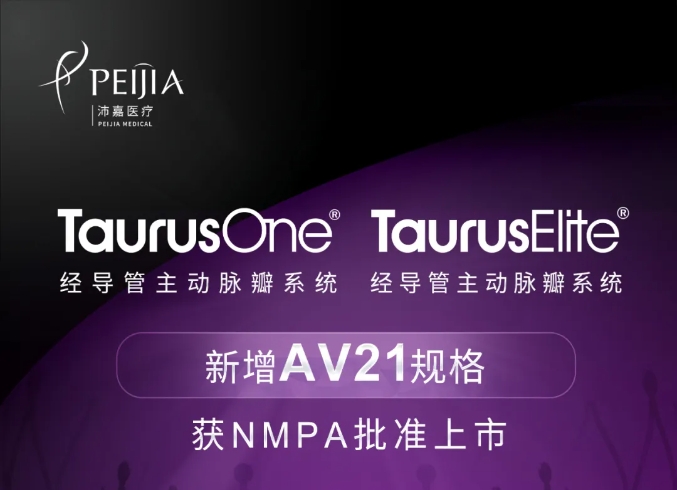 新增AV21规格：beat365经导 管主动脉瓣系统获NMPA批准上 市