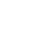 brain